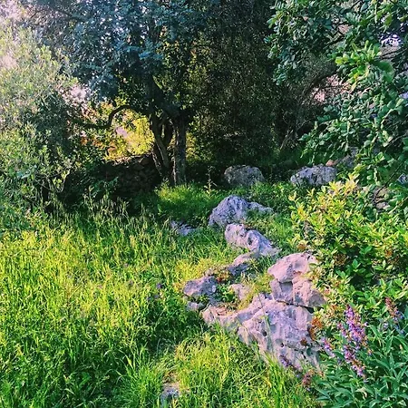 Σπίτι διακοπών Kastel Zrnovo